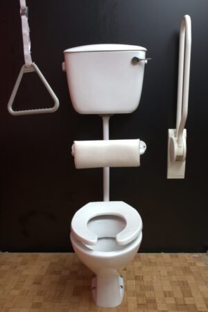 Water Closet - Halwan - Handicappeds