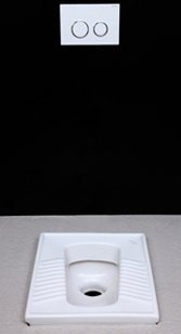 Mithali - Asian-WCs - Mithali